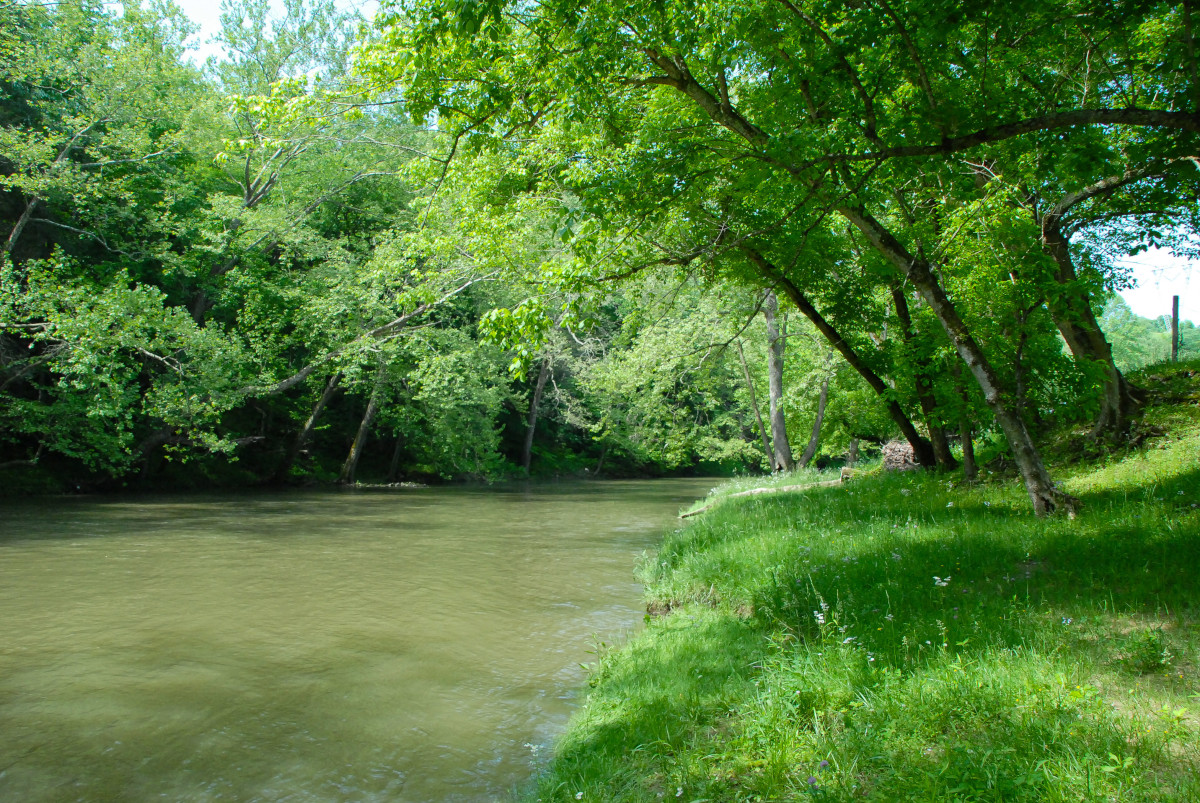 Clinch River