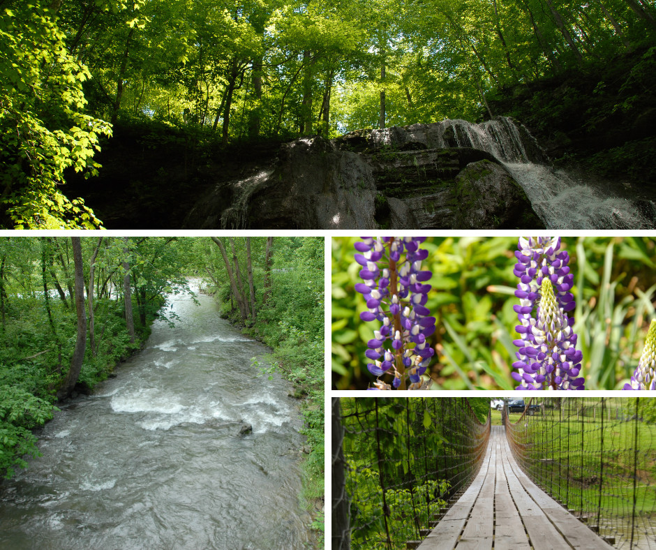 Clinch River scenery